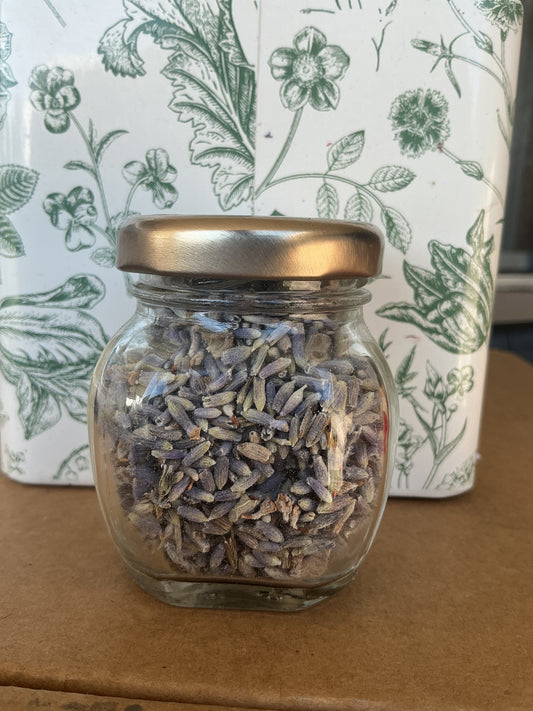 Herb Jar - Lavender