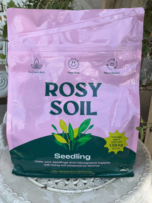 Rosy Soil - Seedling