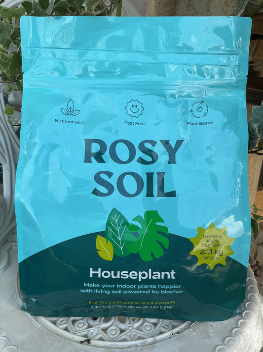 Rosy Soil - Houseplant